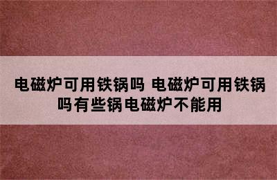 电磁炉可用铁锅吗 电磁炉可用铁锅吗有些锅电磁炉不能用